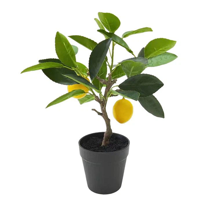 Hand Feeling Latex Fruits